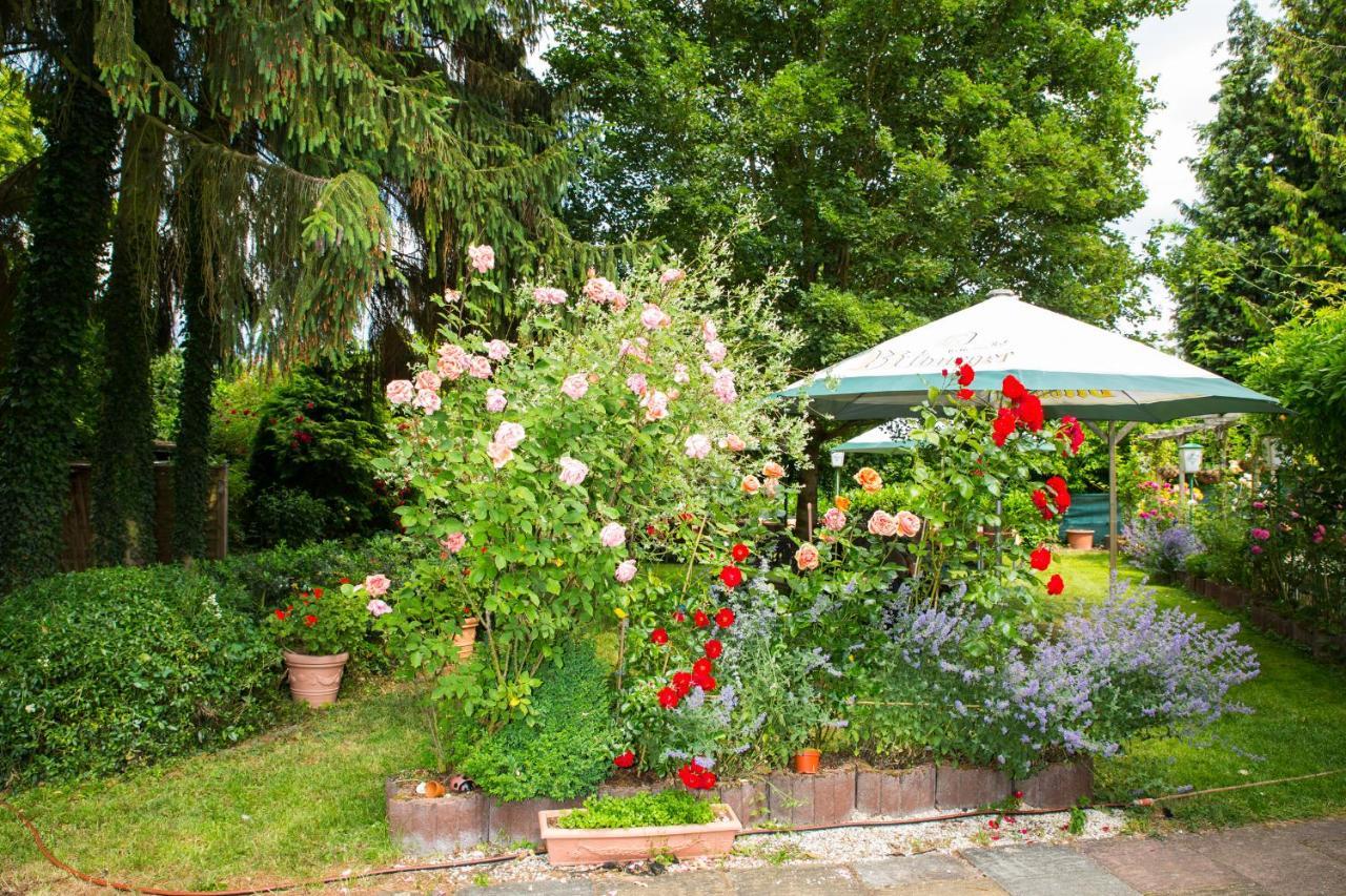 Hotel Zur Post Mulheim an der Mosel Exteriér fotografie