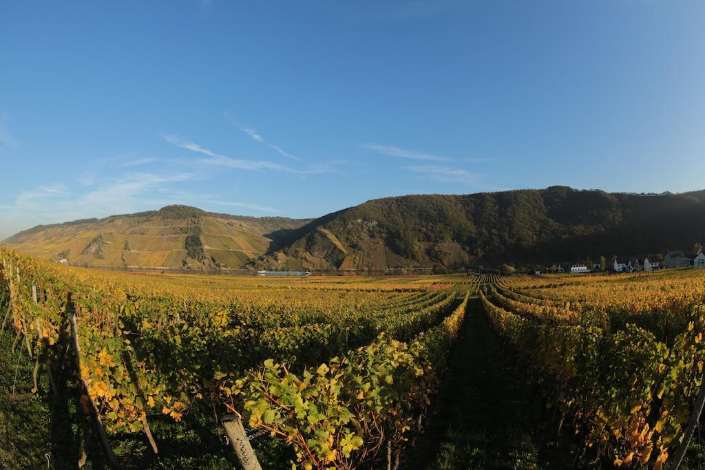 Hotel Zur Post Mulheim an der Mosel Exteriér fotografie