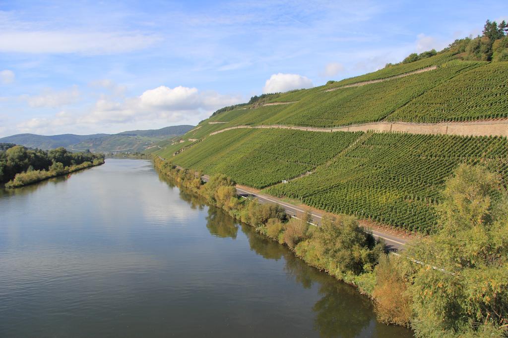 Hotel Zur Post Mulheim an der Mosel Exteriér fotografie